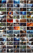 El &aacute;rbol de la vida