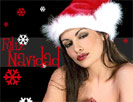 Feliz Navidad y Felices Fiestas!