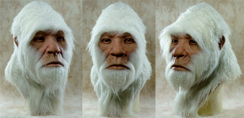 Yeti