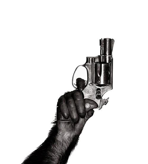 Evolution becomes revolution