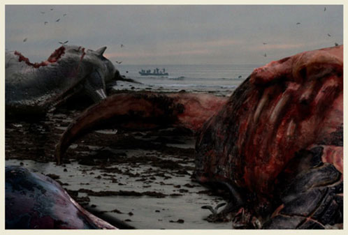 Carne fresca en Cloverfield a.k.a. Monstruoso Carne fresca en Cloverfield a.k.a. Monstruoso