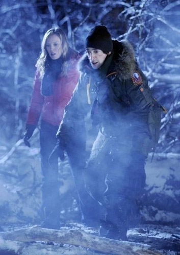¿Que buscan Brody y Polley?