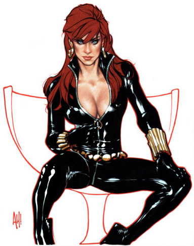20090115_blackwidow.jpg