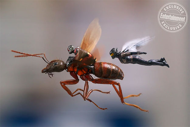 Un par de nuevas imágenes de Ant-Man and the Wasp