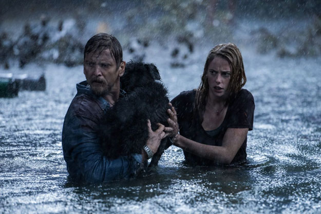 Imagen de Crawl