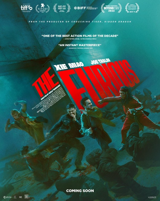 Un buen cartel de The Furious
